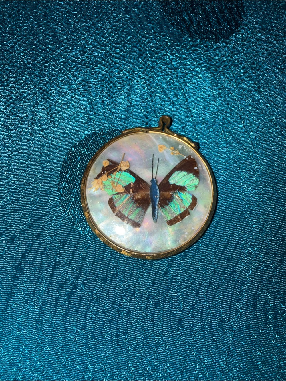 Antique gold filled butterfly, framed pendant, double-sided - Picture 1 of 2